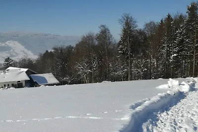 Bio living Hüttenblick Zimmer mit Küche