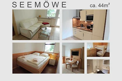 Seemöwe (6)