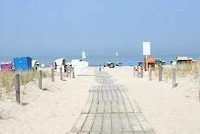 Warnemünde 50550 Seeblick 1