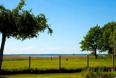 Casa vacanze Vacanza di relax Saal in Vorpommern