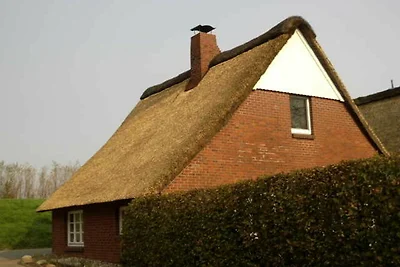 Ferienhaus Am Deich
