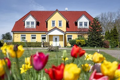 Vakantieappartement Gezinsvakantie Kühlungsborn