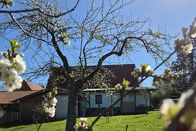 Casa vacanze Vacanza di relax Grabowhöfe