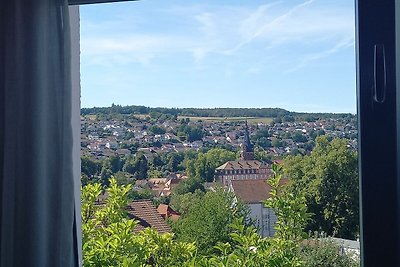 Vakantieappartement Gezinsvakantie Erbach im Odenwald