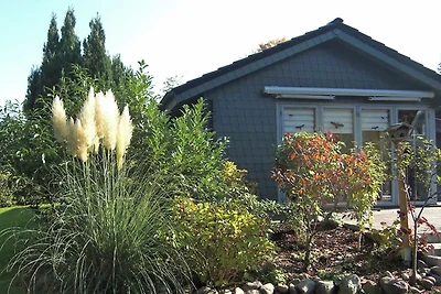 Vakantiehuis Ontspannende vakantie Damp