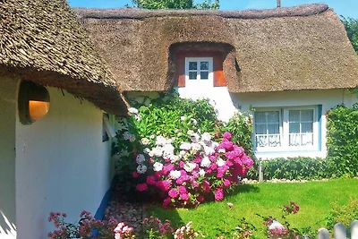 Friesenkate West Brukswai 3 Goting