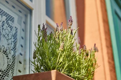 Vakantieappartement Gezinsvakantie Bernkastel-Kues