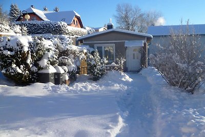 Vakantiehuis Ontspannende vakantie Elbingerode