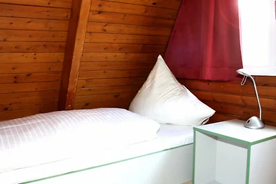 Albergo Cultura ed escursioni Damp