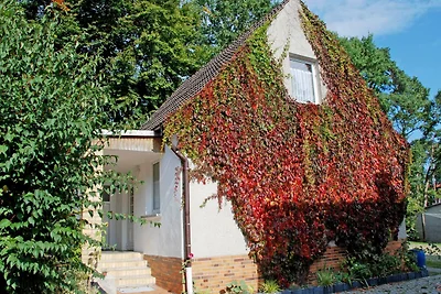 Ferienwohnung mit Terrasse OG