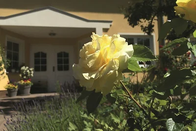 Vakantieappartement Gezinsvakantie Benz