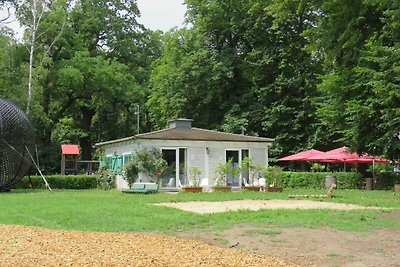Hotel cultural and sightseeing holiday Dessau-Roßlau
