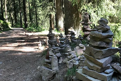 Vakantieappartement Gezinsvakantie Hahnenklee