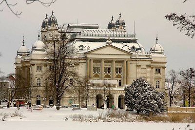 Hotel Cultuur en bezienswaardigheden Schwerin