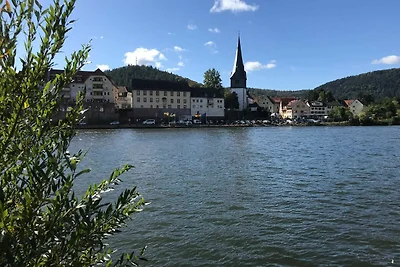 Appartamento Vacanza con famiglia Neckargemünd