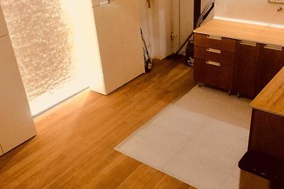 Vakantieappartement Gezinsvakantie Wiesbaden