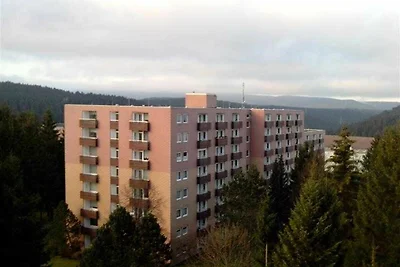 Albergo Cultura ed escursioni Altenau