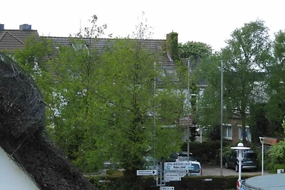 FeWo (BC.n3)