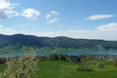 apartman za odmor Obiteljski odmor Zell am Moos