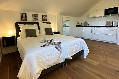 Slot/Kasteel Vakantieparken en clubs Gross-Mohrdorf
