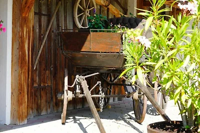 Albergo Cultura ed escursioni Tannheim