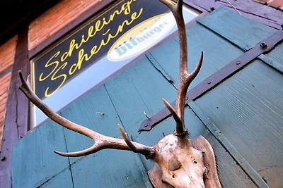 Albergo Cultura ed escursioni Groß Oesingen