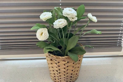 Wohnung 02 mit Kamin & Terrasse