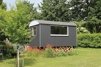 Cathrin`s Boddenblick