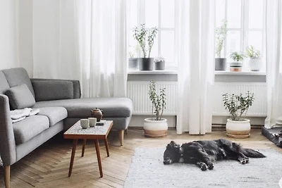 Vakantieappartement Gezinsvakantie Travemünde