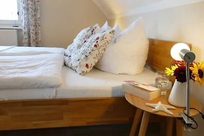Albergo Cultura ed escursioni Rerik