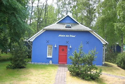 Blaues Strandhaus hinter der Düne - 1. Reihe
