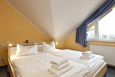 Mirabelle App. 03 (DG/L)