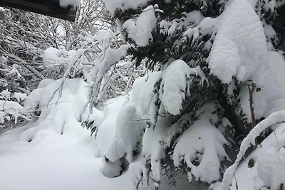 Vakantieappartement Gezinsvakantie Hahnenklee