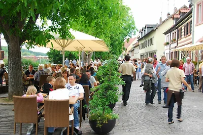 Boardinghouse-Baumhof55.3