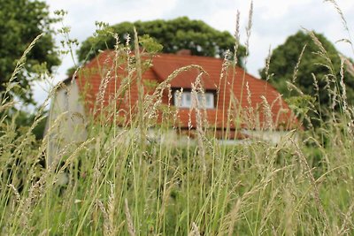 Vakantiehuis Ontspannende vakantie Schönbeck