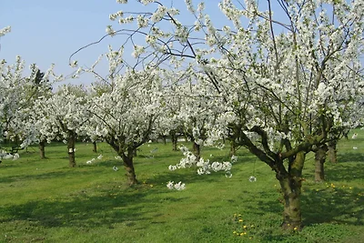 Ferienhaus 112 Scout 60qm für max.