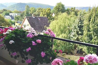 Appartamento Vacanza con famiglia Bad Harzburg