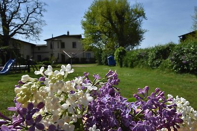 Hotel Cultuur en bezienswaardigheden Boiensdorf