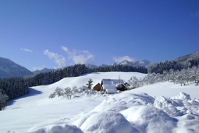 Appartamento Vacanza con famiglia Unterach am Attersee