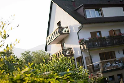 Albergo Cultura ed escursioni Schliengen