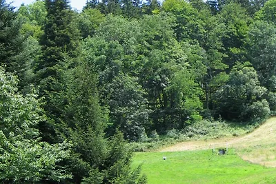 Vakantieappartement Gezinsvakantie Horben