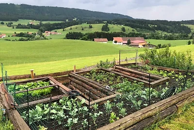 Ferienwohnung Westseite