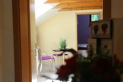 Vakantieappartement Gezinsvakantie Freital
