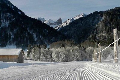 Vakantieappartement Gezinsvakantie Schoppernau