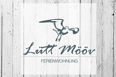 Wohnung (1)
