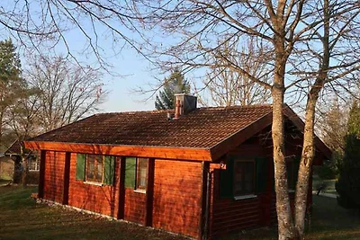 Albergo Cultura ed escursioni Hayingen