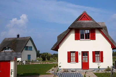 Vakantiehuis Ontspannende vakantie Zierow