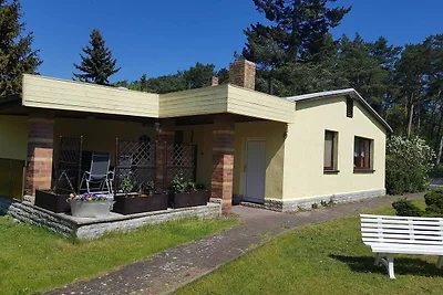 Vakantieappartement Gezinsvakantie Trassenheide