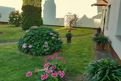 Vakantieappartement Gezinsvakantie Korswandt