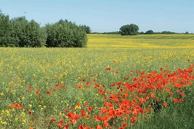 Appartamento Vacanza con famiglia Barendorf